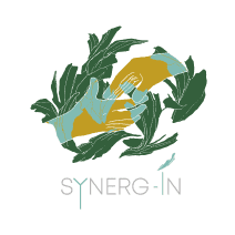 Logo Synerg-In