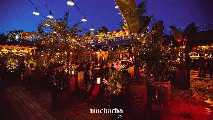 Muchacha