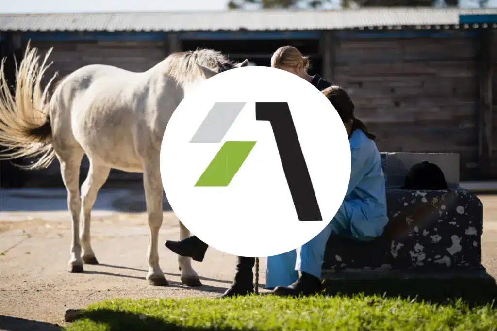 Hero Veterinaire
